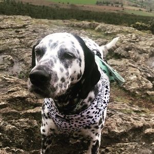 Meet your Posher, Kathy